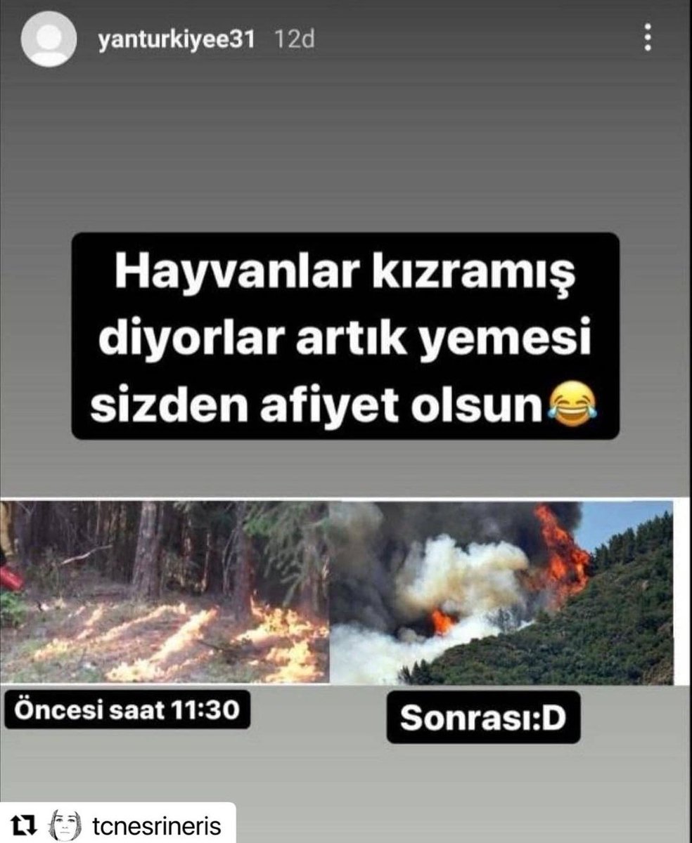 muhendisyenn's tweet photo. İnstagramdaki hesap ismi yanturkiyee31 adlı kişiyi ihbar ediyoruz. Lütfen duyurun.

#PrayForTurkey https://t.co/nPUS5pDueZ