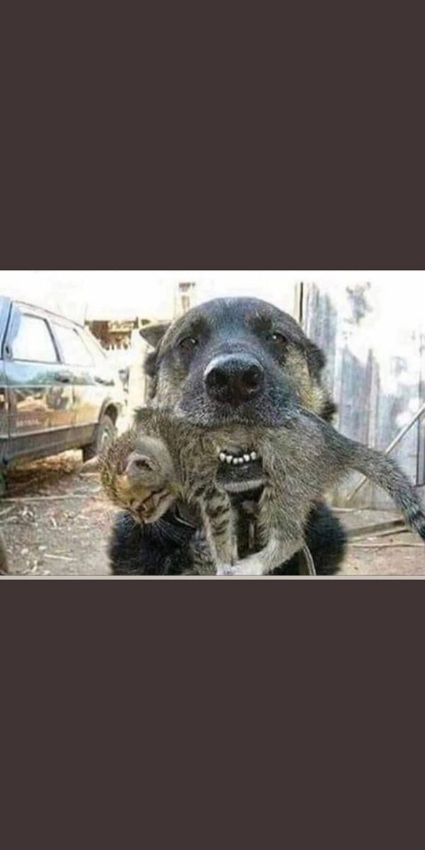 carmenimmm's tweet photo. Herseyden bir haber ...Tekrar eski gunlerimi diliyorum sadece ....
#GencNefes https://t.co/v8K41PGc9u