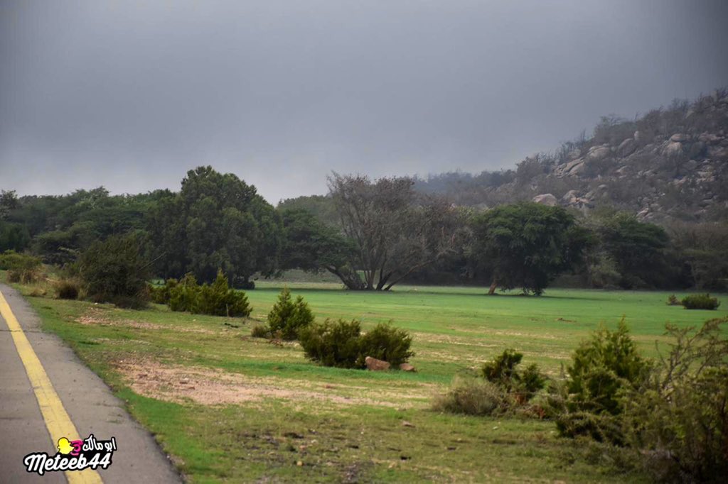 BashayirAlkhayr's tweet photo. محمية الجره جنوب #ابها هذا اليوم
توثيق : ابومالك 🇸🇦😍
#welcometoksa https://t.co/Xg7kQkLNmp