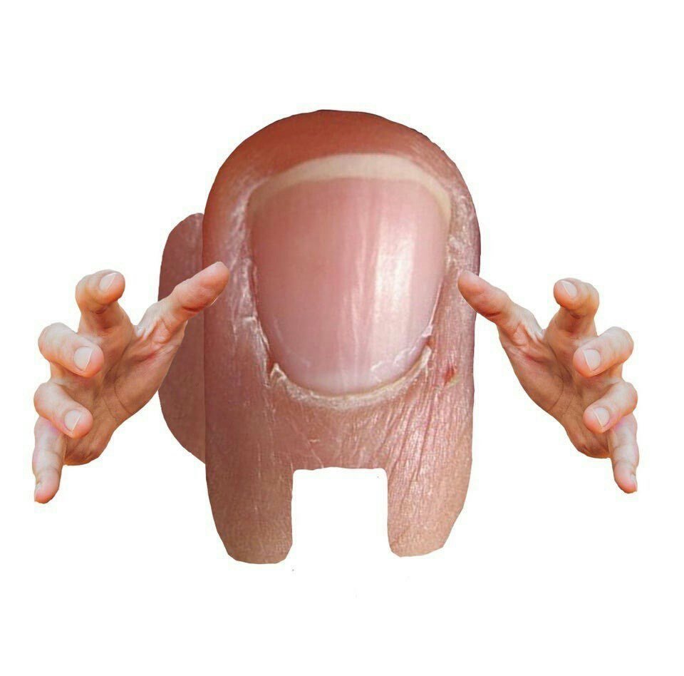 JameZbear's tweet photo. be very afraid https://t.co/SemzGFn45n