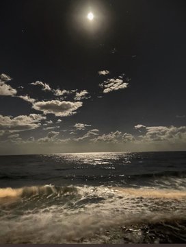 الصورة