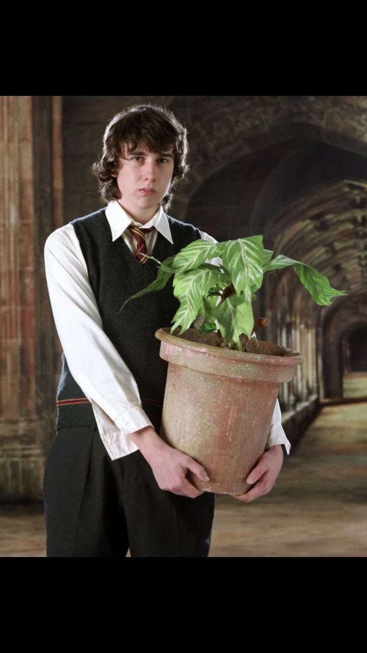 Happy birthday to Neville Longbottom, one of the very first fictional characters I attached myself to 