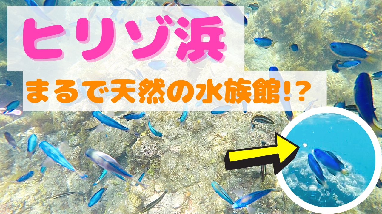 ゆーちゅーとりっぷ ゆう Yututrip Twitter