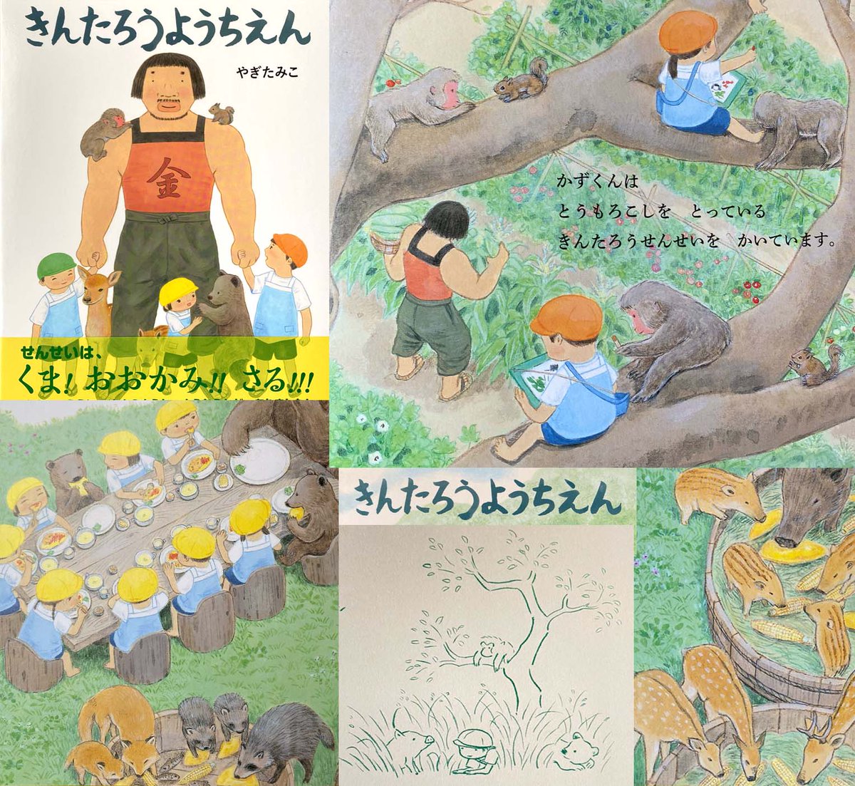 やぎたみこ きんたろうようちえん あかね書房 見本でました 給食の場面 子どもと動物が同じものを食べている絵にしたくて調べたら 熊 雑食 狼 雑食 もする肉食 猿 草食系の雑食 猪 雑食 鹿 草食系の雑食 狐 肉食系の雑食 狸