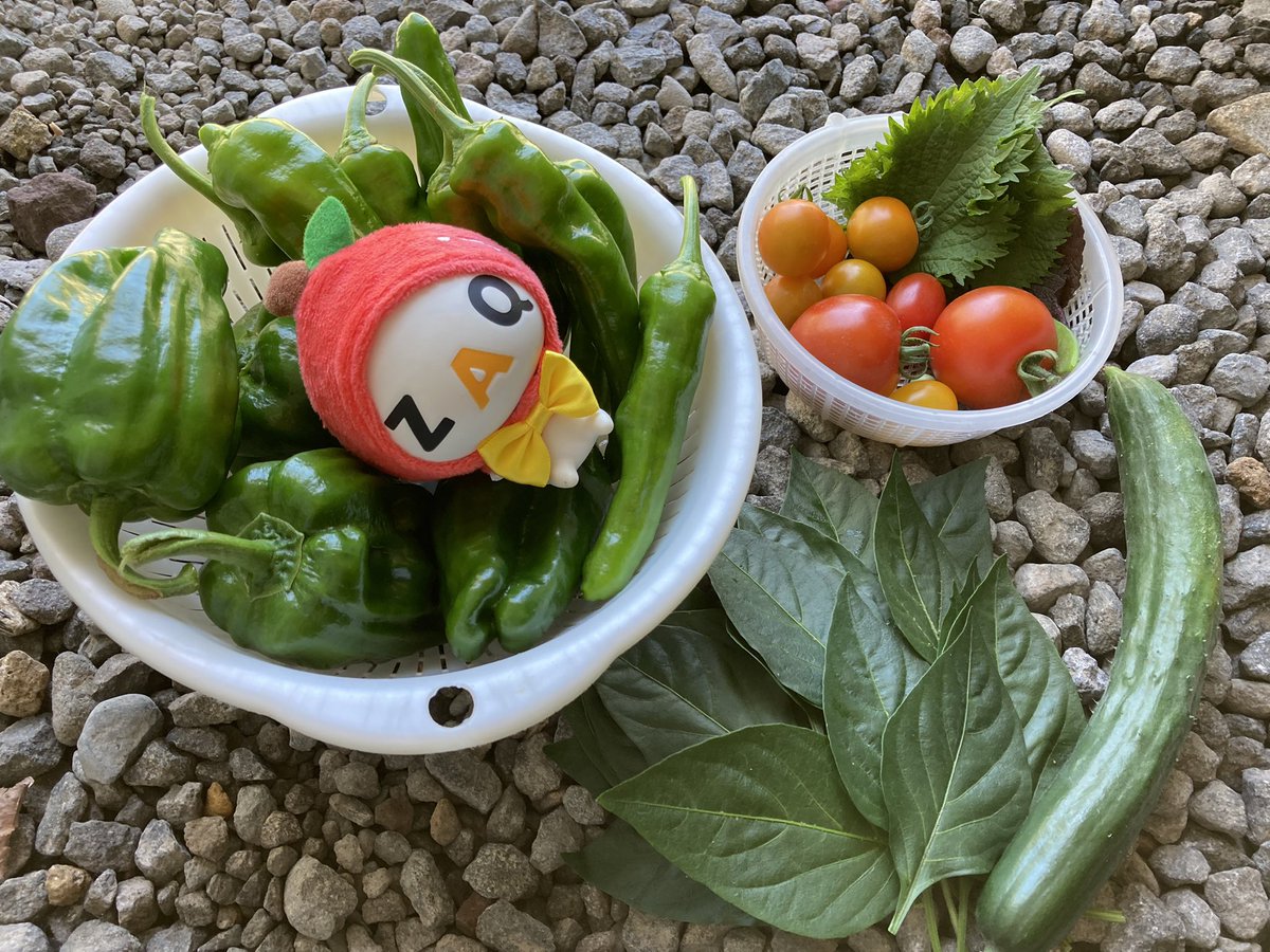 ざっくぅ大好き