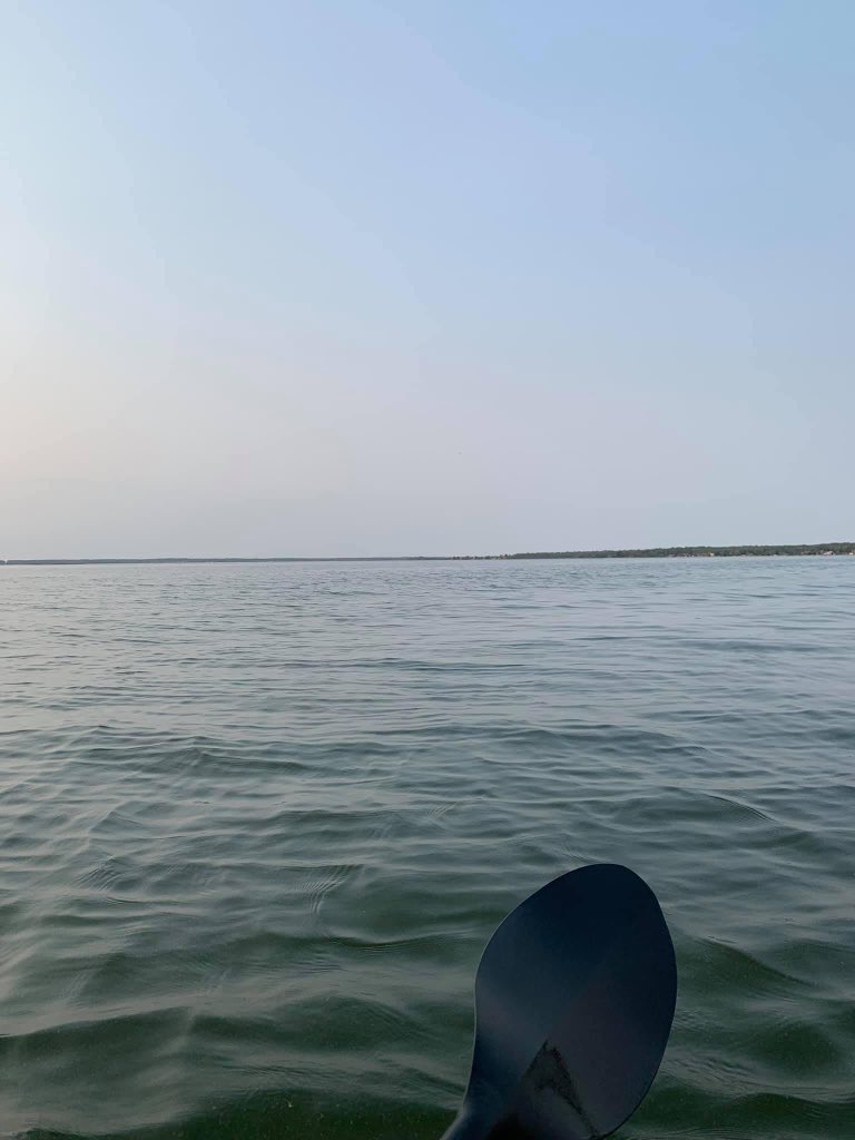 Edrea Cox tweet media