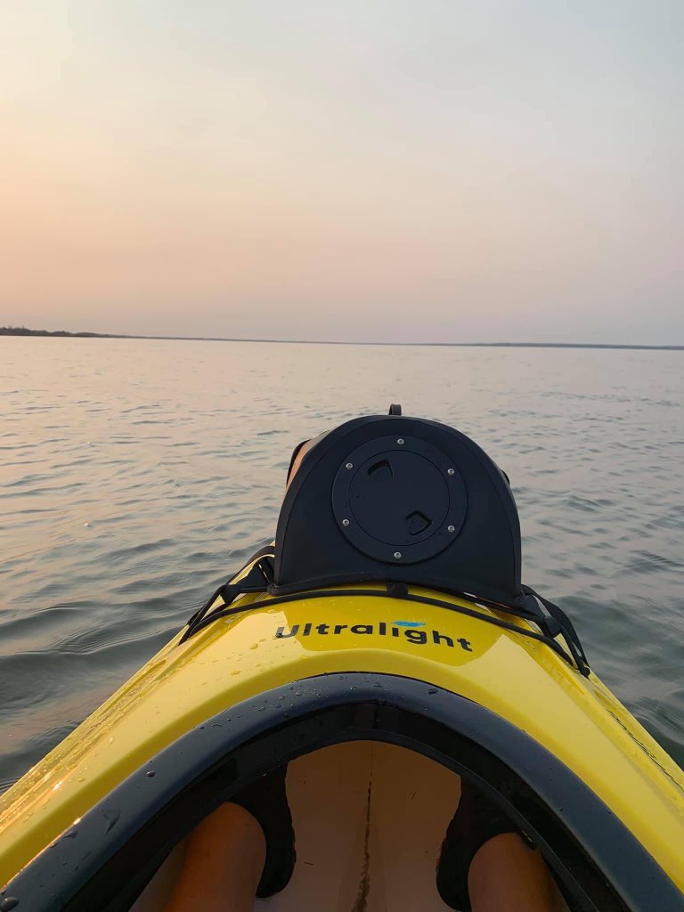 Edrea Cox tweet media