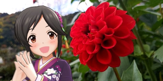 ぼかしのtwitterイラスト検索結果