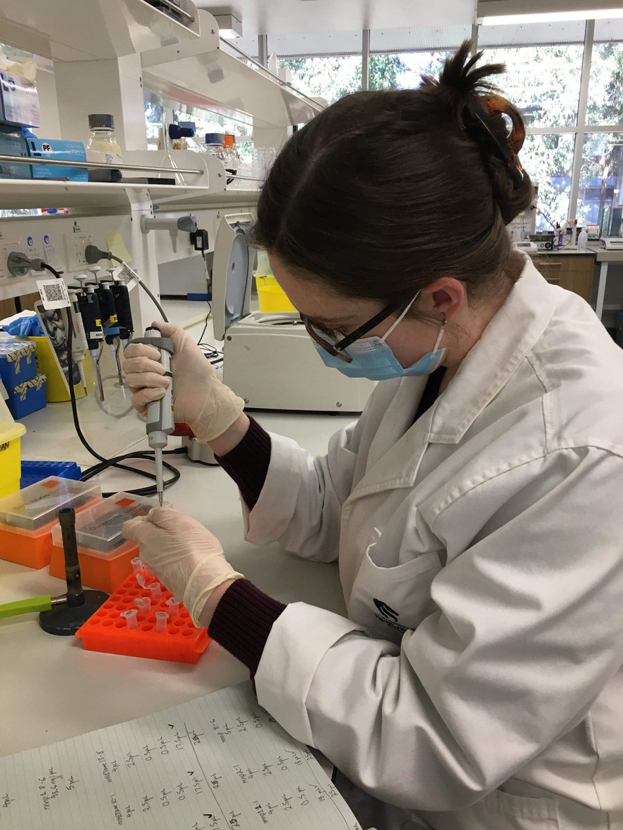 DeNovocastrians's tweet photo. Aakash and Cate doing some cloning 🧬 🧫
They’re beside themselves!
#synbio #AusSynbio #AusSynbioChallenge
#STEM https://t.co/RXw6PfNcN5