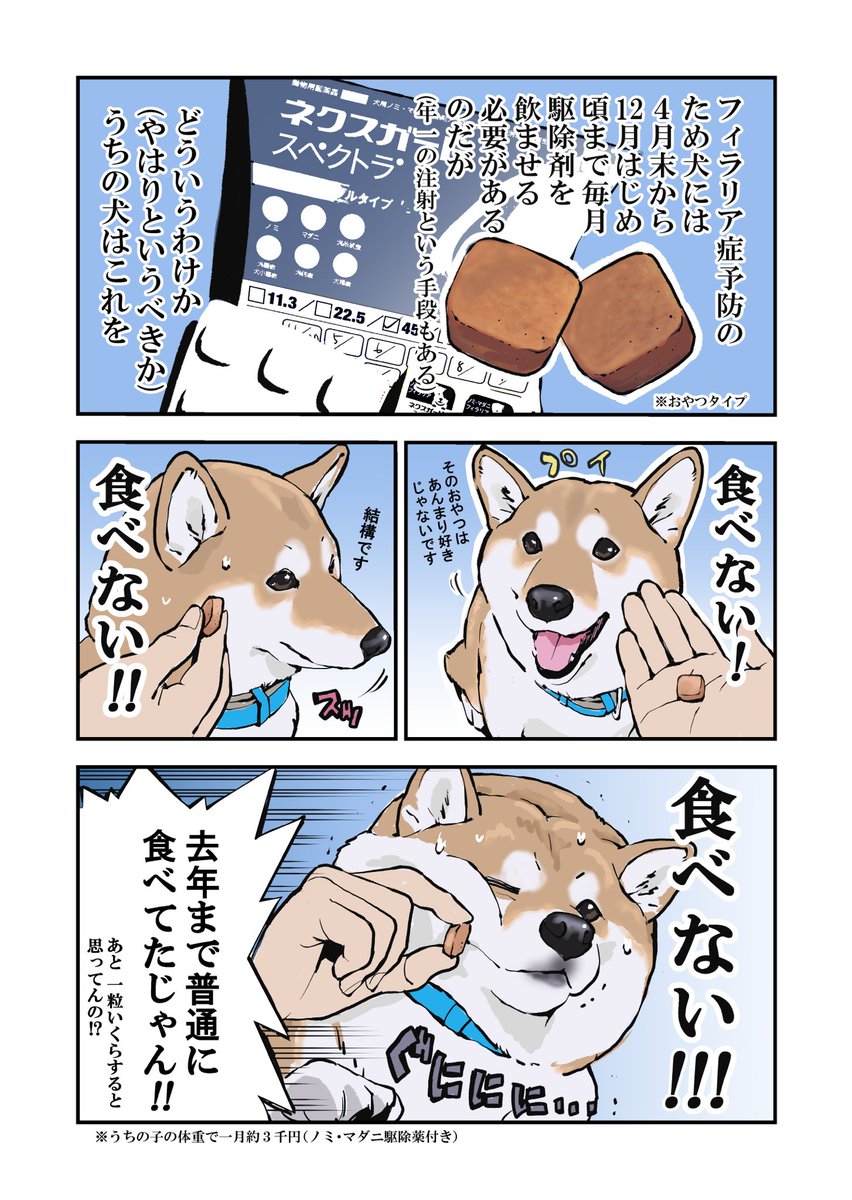 石原雄先生のマンガ 犬と私の三日間戦争 の犬が食べる薬を嫌がるムーブに共感の声 リアルの犬動画もぞくぞく Togetter