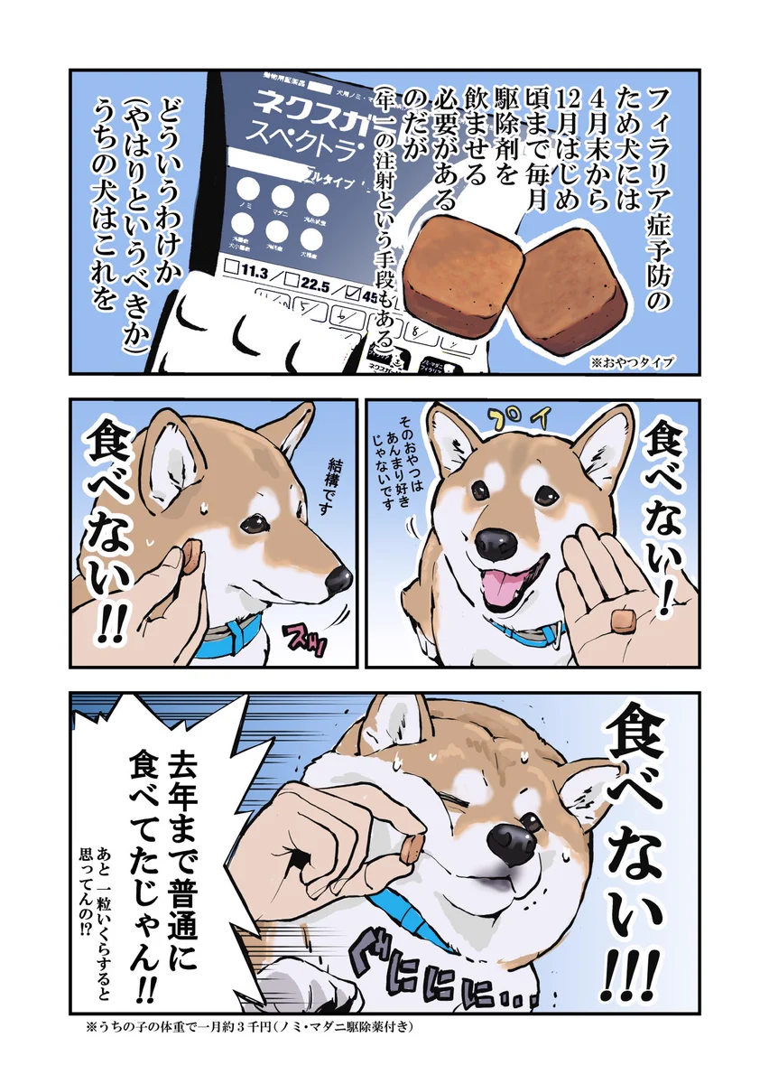 薬を食べたくない犬と食べさせたい私の三日間戦争ｗｗ勝者はどっち？