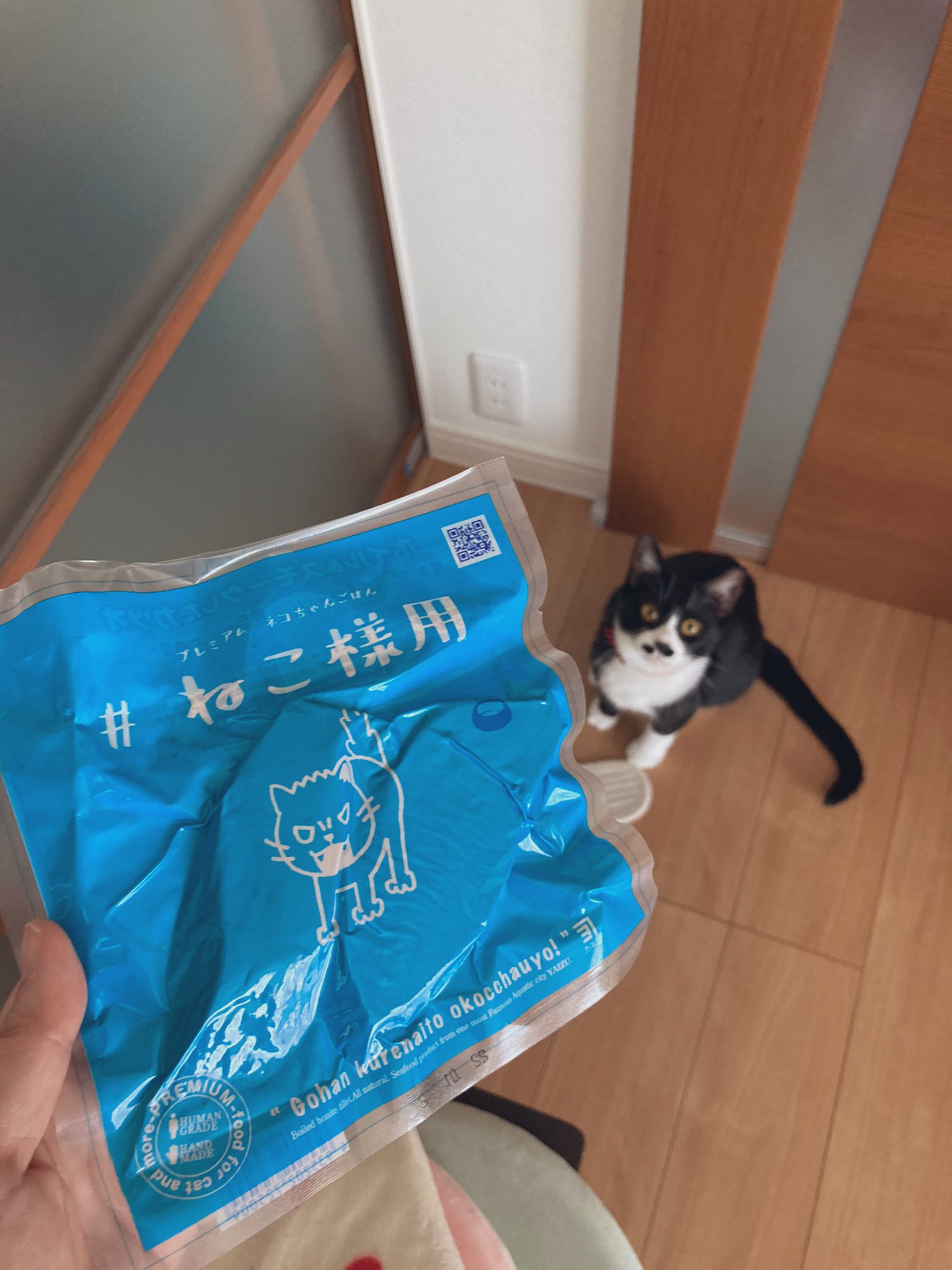 ねこ様専用☆ elc.or.jp