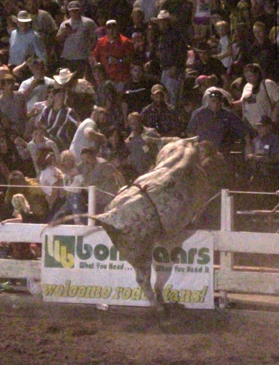 shyjensen's tweet photo. Last night everyone thought the bull jumping into the crowd stole the show but let’s be honest @BomgaarsSupply is really stealing it. Check out our cool banner and stop by while you’re in town and checkout the cool things we sell😂 https://t.co/6pHdNZh4nj