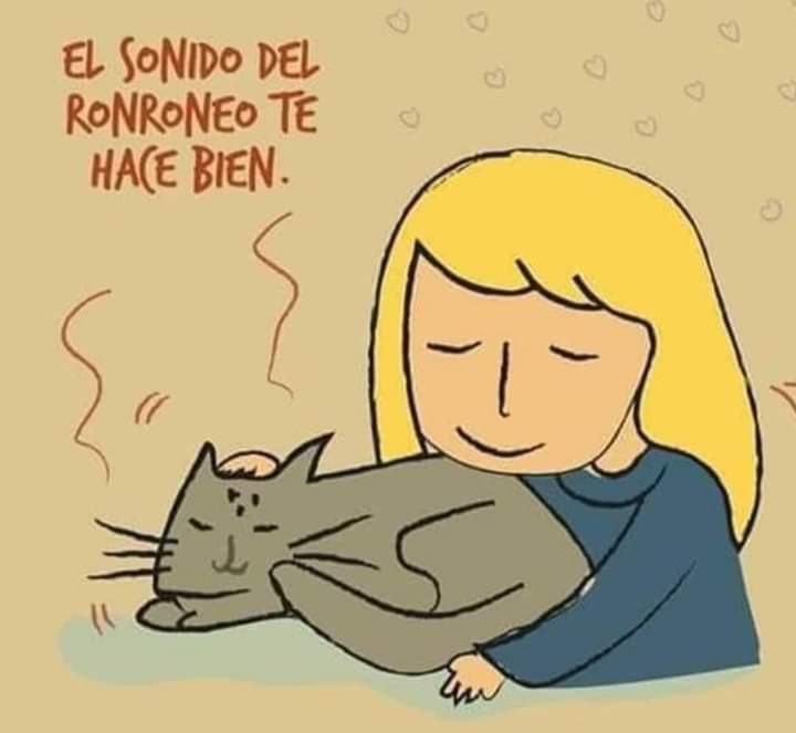 Total... 🐱
