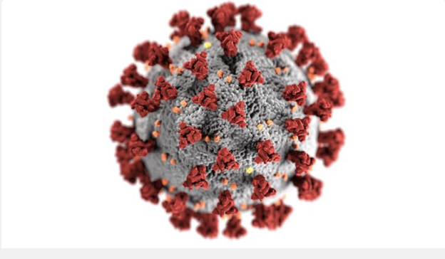 gagrulenet's tweet photo. The best way to deal with people who refuse to be vaccinated is to make public that if and when they get infected and end up in hospital, they must pay all the cost #CoronaUpdate https://t.co/ZoPhFMuuUP