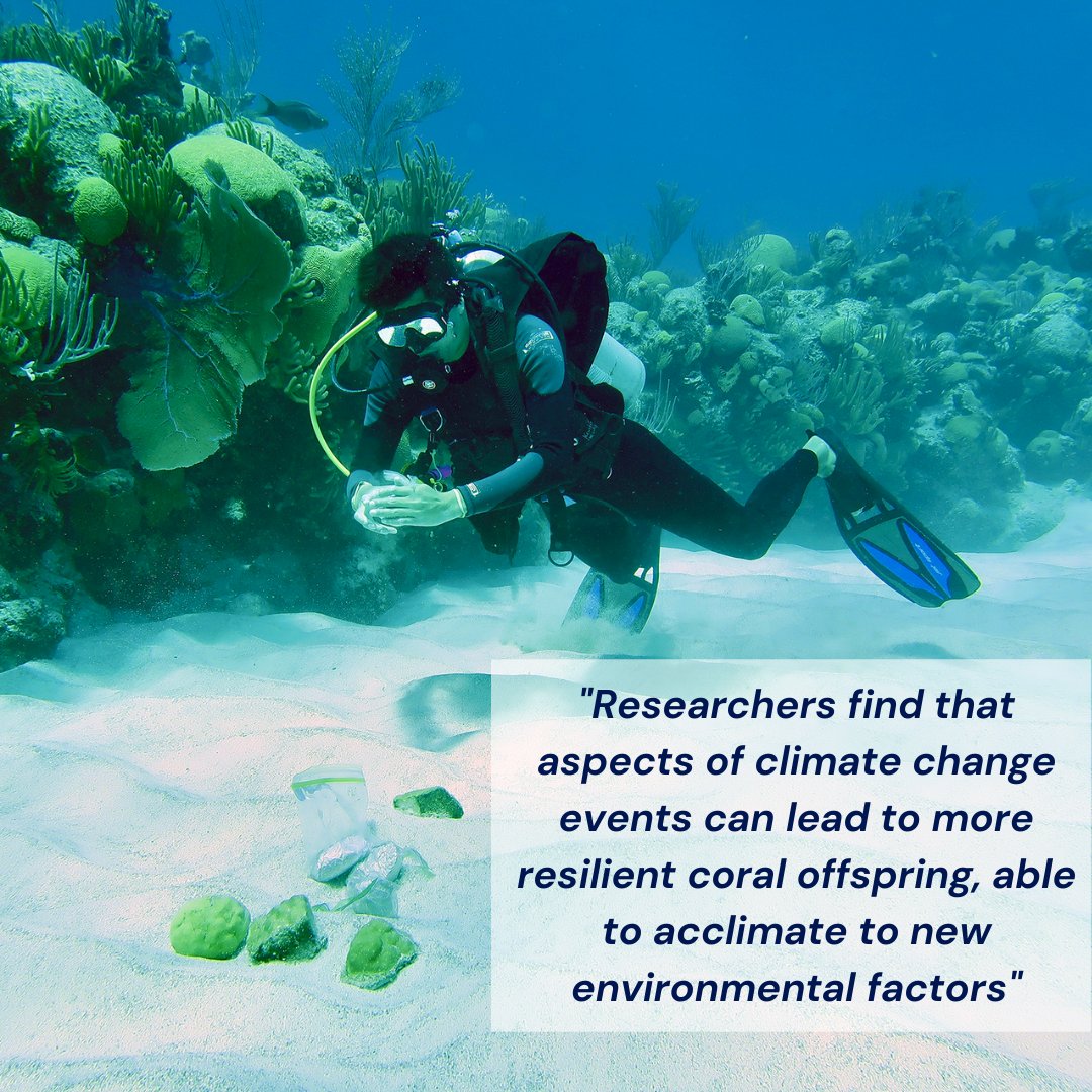 URI CELS tweet media