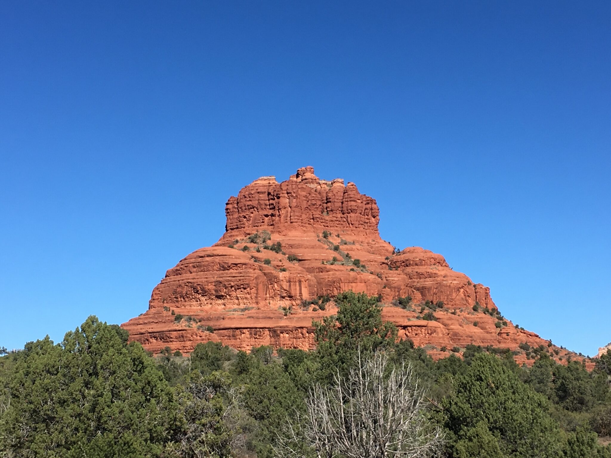 ラスベガスコンシェルジュはオプショナルツアー 手配のプロ Lvconciergejp Twitter