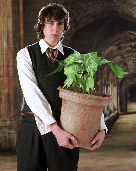 Happy birthday neville longbottom  