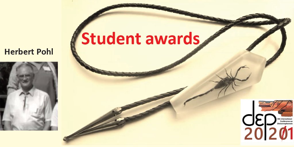 Congratulations to our student award winners of the 2020.1 DEP conference:
Poster: 1st Alexis Ramirez (Arizona State University, USA), 2nd Mareike Prufer (Fraunhofer Institute, DE), Widad Lahbichi (EPFL, CH), Honorable mention Josie Duncan (Virginia Tech, USA) #DEP