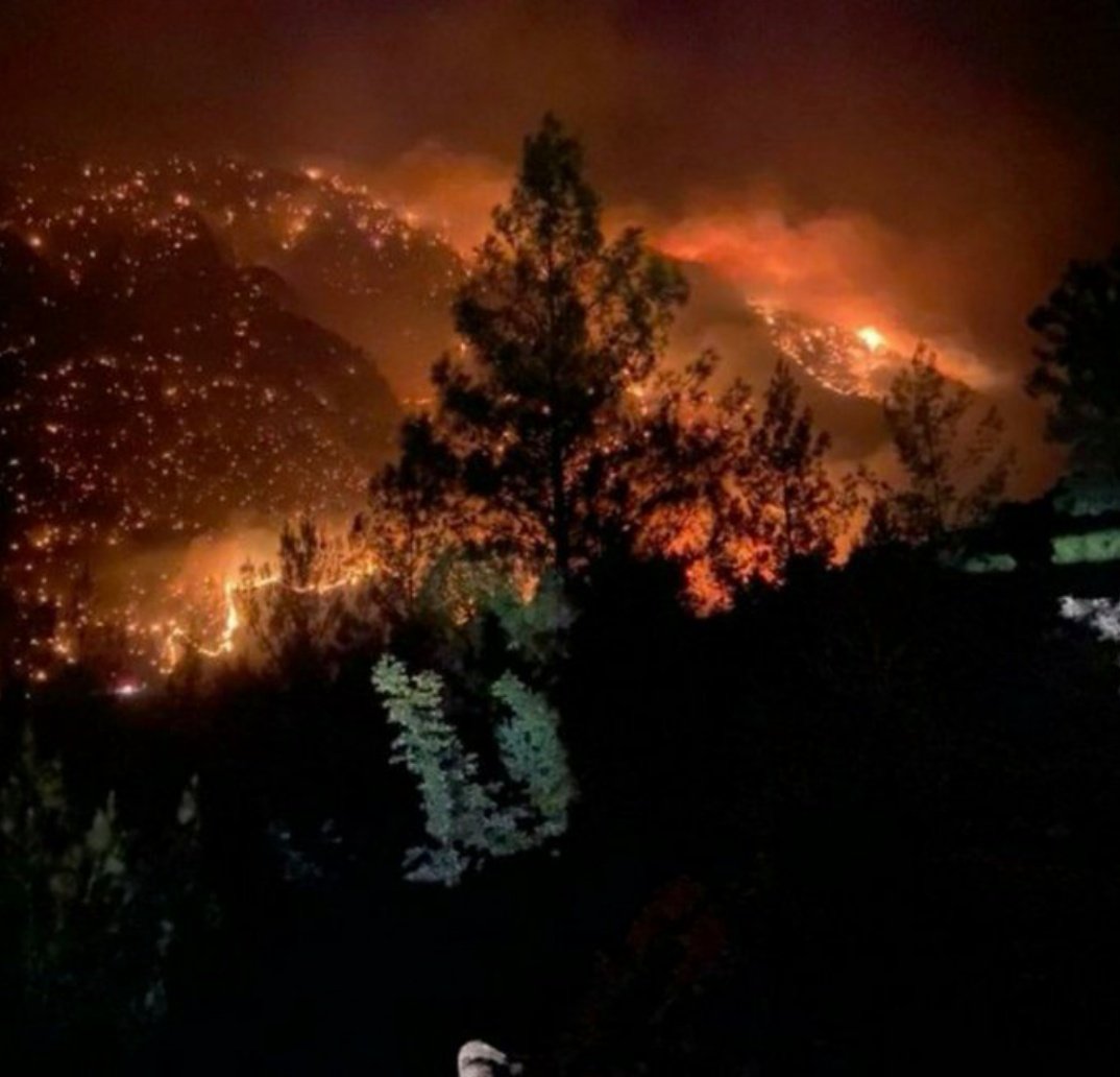 Allah belanızı versin. Yaktığınız kadar yanın...#KöyceğizYanıyor