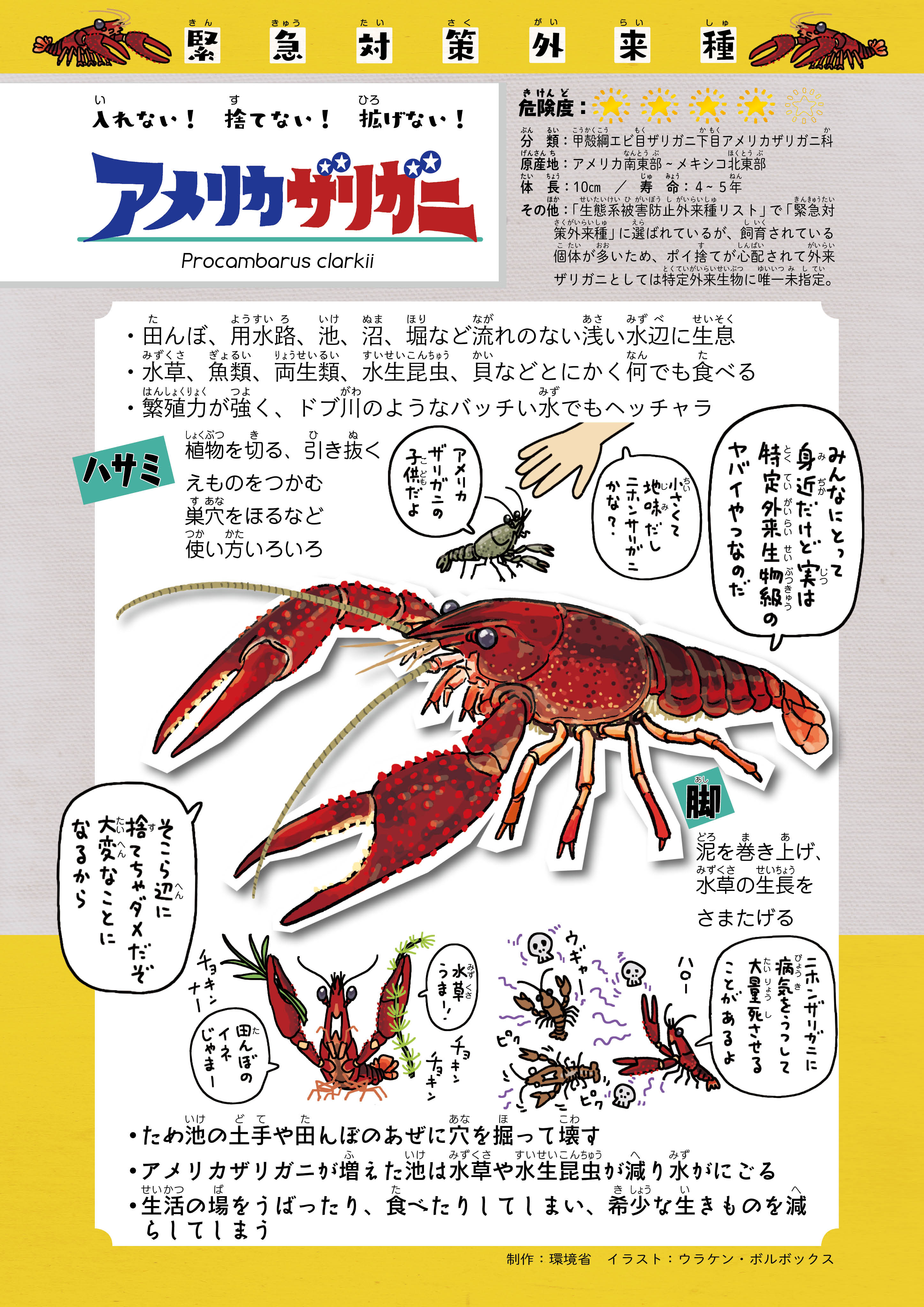 ウラケン ボルボックス すごい毒の生きもの図鑑 好評発売中 激ヤバ外来種 アメリカザリガニ T Co Llucdztn6r 夏休みシーズン到来ということで 親子でザリガニ釣りに行く人たちも増えると思いますが 釣ったザリガニは絶対にそこら