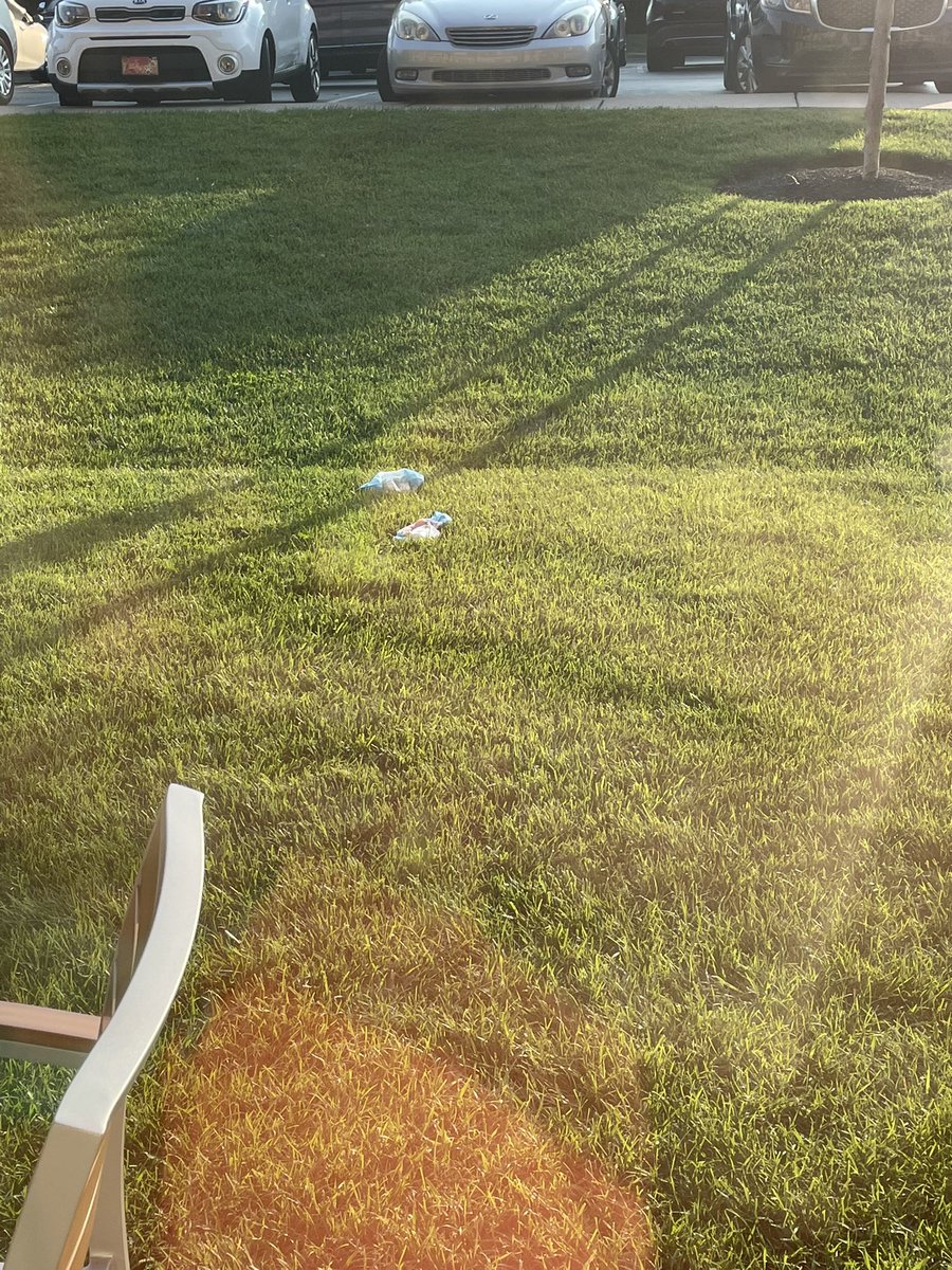 MovingToDagobah's tweet photo. @GreatWolfLodge these diapers have been outside our hotel room for 24 hours at this point. Is this acceptable here in Mason, OH, to not only throw diapers off the balcony but for a hotel to just leave them?? #gross #greatwolflodge #mason https://t.co/ScFrMihWnj