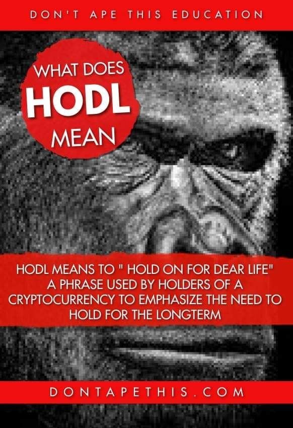 Come get $Dat crypto education!

100% Legit project 
Earn 2 different coins for holding one 🔥🔥🔥🔥🔥

$DAT #Crypto #BTC #100xgem