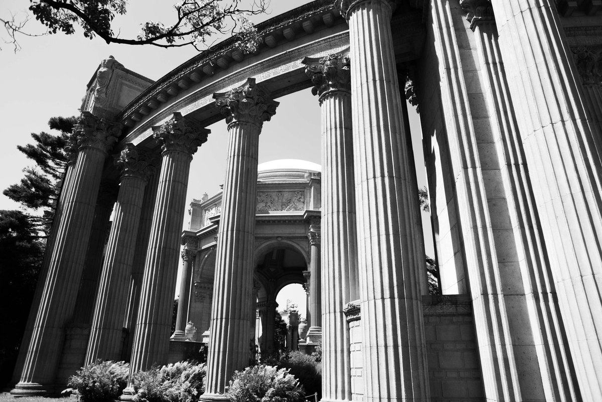 Tariq (@tariqk82) on Twitter photo "The Palace Of Fine Arts - San Francisco" #california #calilove #blackandwhite #blackandwhitephotography #art #24mm #Nikon <a href="/Nikon/">Nikon USA</a> #architecture #photooftheday <a href="/ThePhotoHour/">#ThePhotoHour</a> <a href="/Playleimagery/">Photograph France</a> "The Palace Of Fine Arts - San Francisco" #california #calilove #blackandwhite #blackandwhitephotography #art #24mm #Nikon <a href="/Nikon/">Nikon USA</a> #architecture #photooftheday <a href="/ThePhotoHour/">#ThePhotoHour</a> <a href="/Playleimagery/">Photograph France</a>