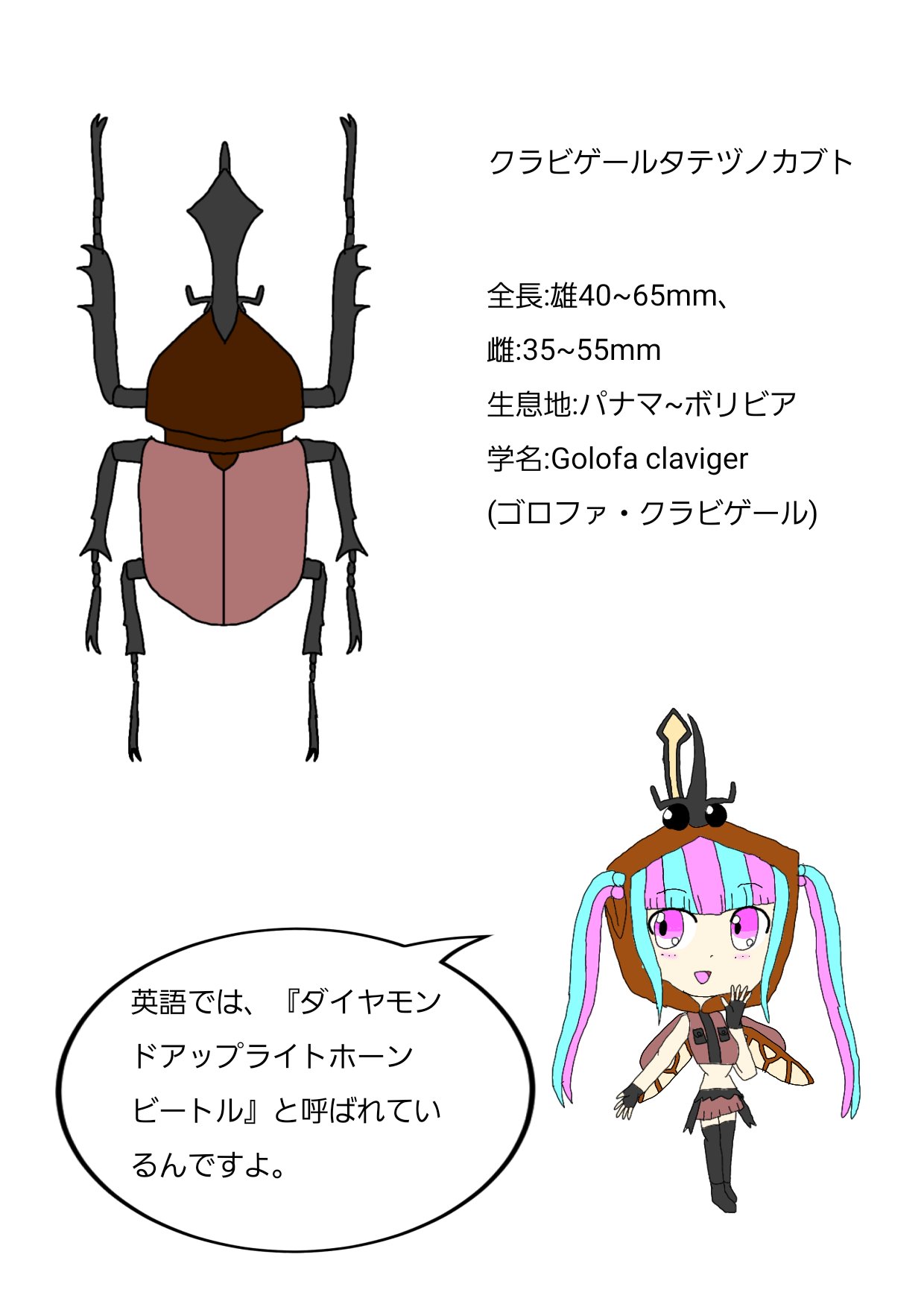 Little 昆虫図鑑風イラストを描きました 今回はクラビゲールタテヅノカブトfeat パレオ 鳰原令王那 ムシキングには ヒシガタタテヅノカブト として登場しました イラスト イラスト好きな人と繋がりたい イラスト好きさんと繋がりたい バンドリ