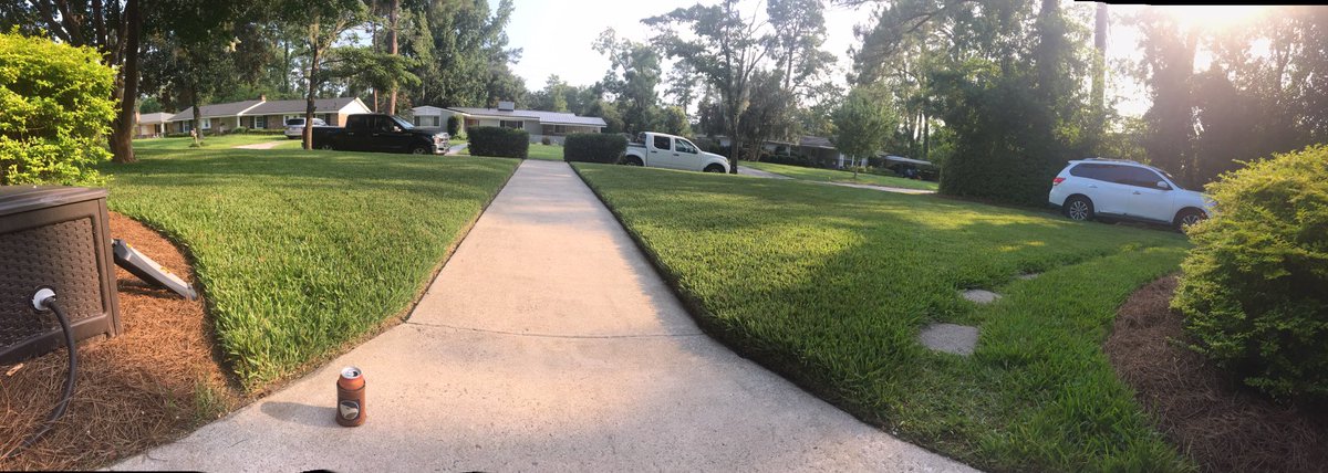 Chief275's tweet photo. This weeks #lawnbeer brought to you by @creaturebeer Still battling a little summer fungus but the St aug is holding strong #tropicalia #lawncarenut @AllynPaul @MasteryYard @GreeneCFert #LCN https://t.co/mgD4NBe66P