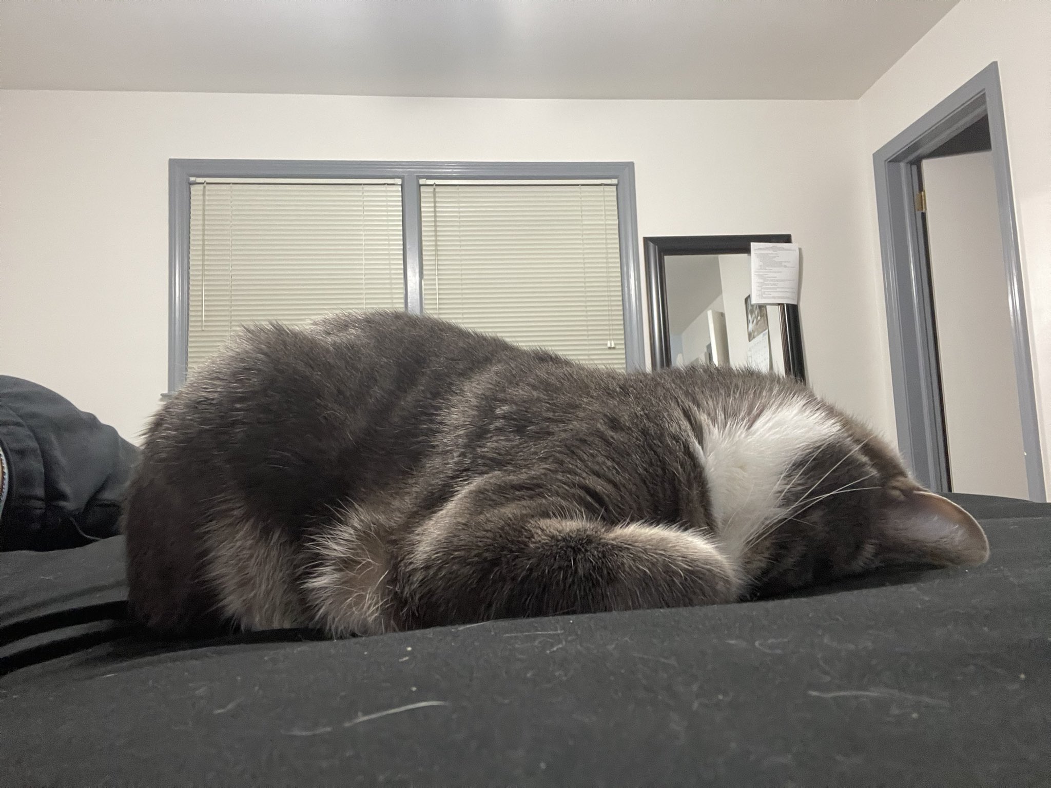 D On Twitter Https T Co Qjbjpjmvsm Twitter