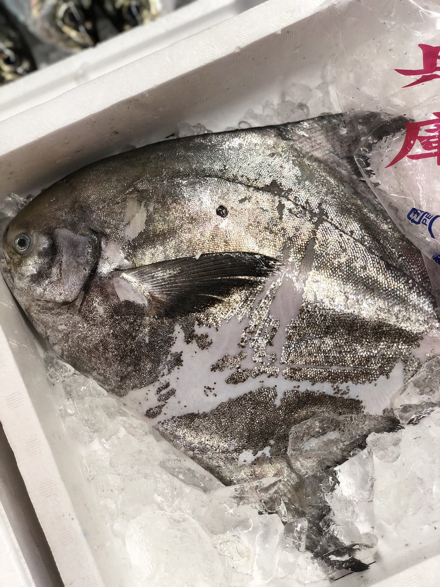 うおぜ hashtag on Twitter