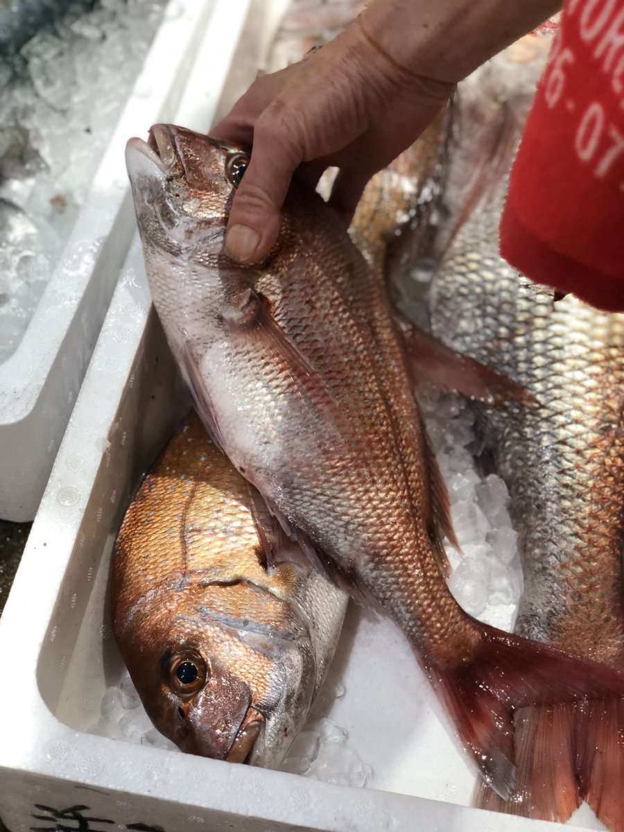 うおぜ hashtag on Twitter