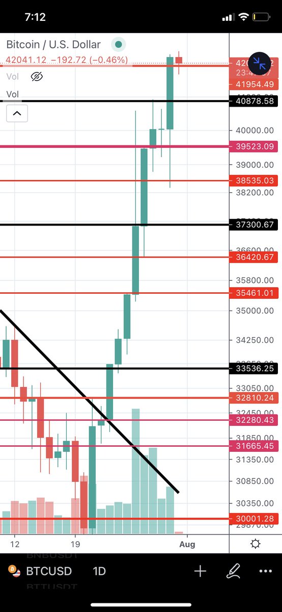 $BTC 10 days of elegance…