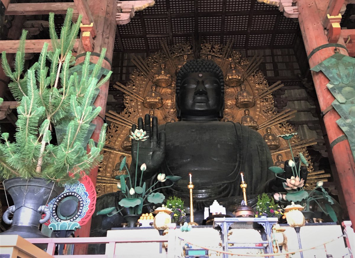 jukkkie's tweet photo. Recently, in Nara city again ...
"Hi there, long time no see❣️"
🥰😽💖💖🦌🦌🦌🍵✨🌞
#Nara #deers #Bigbuddha #Maccha #Kuzumochi #せんとくん #Sentokun https://t.co/wDwW3SFany