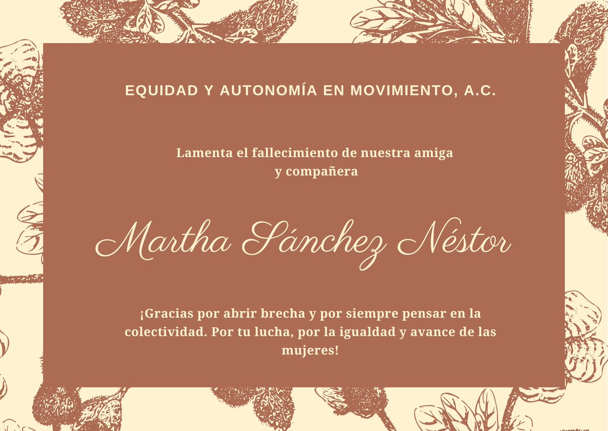 equidadyautonomía tweet media