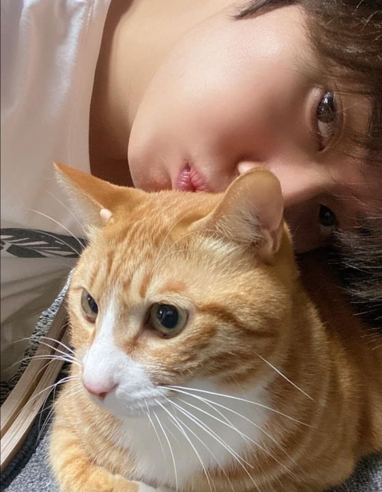 0922film's tweet photo. cat sitter  ★  minsung au

en donde m y j viven en el mismo edificio pero nunca han sabido de la existencia del otro, hasta que un día m trae a sus gatos a vivir con él y j cuando descubre que su vecino tiene gatos se inventa excusas tontas para visitarlo y ver a sus gatos. https://t.co/nFNJTZsT4o