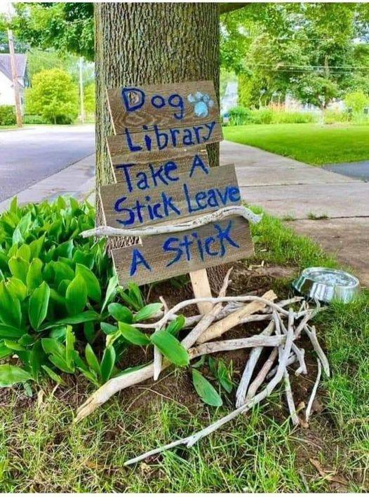 acraftyarab's tweet photo. I do love a library with no overdue fines! https://t.co/BXP5Esia8a