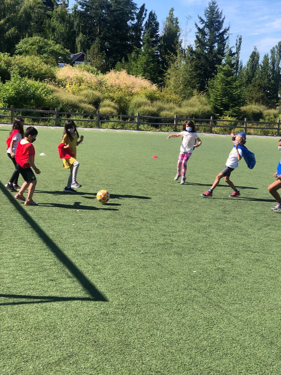 OWS Summer Program tweet media