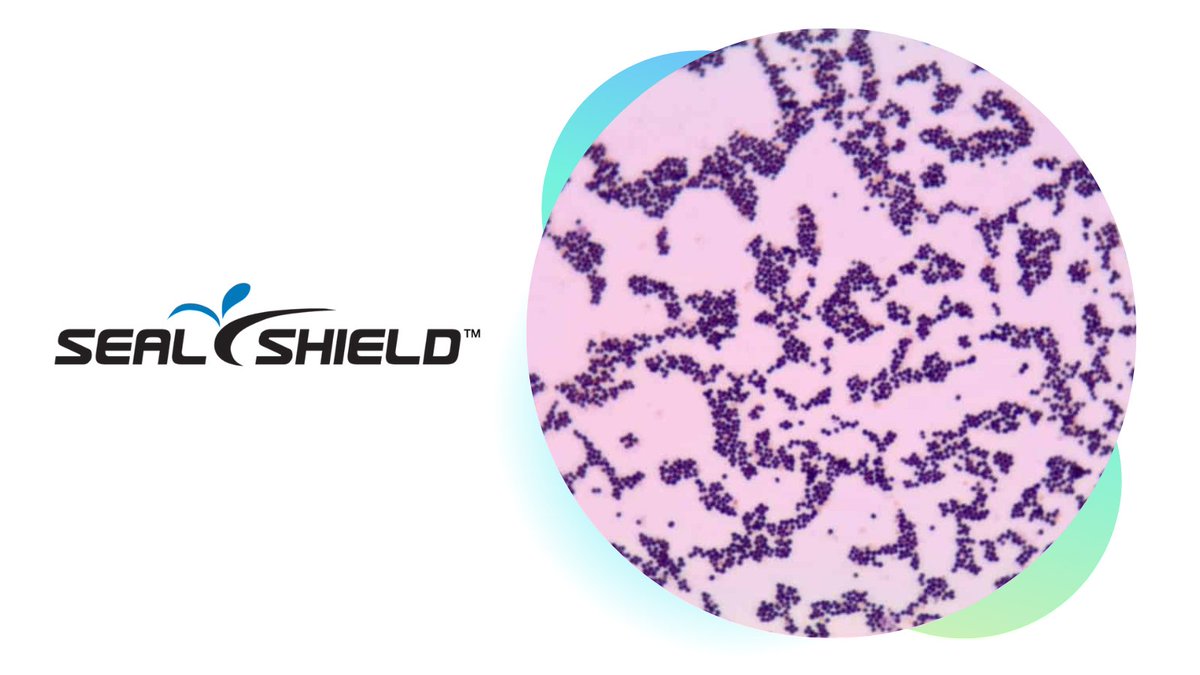 AMcCarthy11's tweet image. It&apos;s the leading cause of skin infections such as abscesses, furuncles, and cellulitis. Although most staph infections are not serious, S. aureus can cause serious infections such as bloodstream infections, pneumonia, or bone and joint infections.

@SealShield 
#InfectionControl