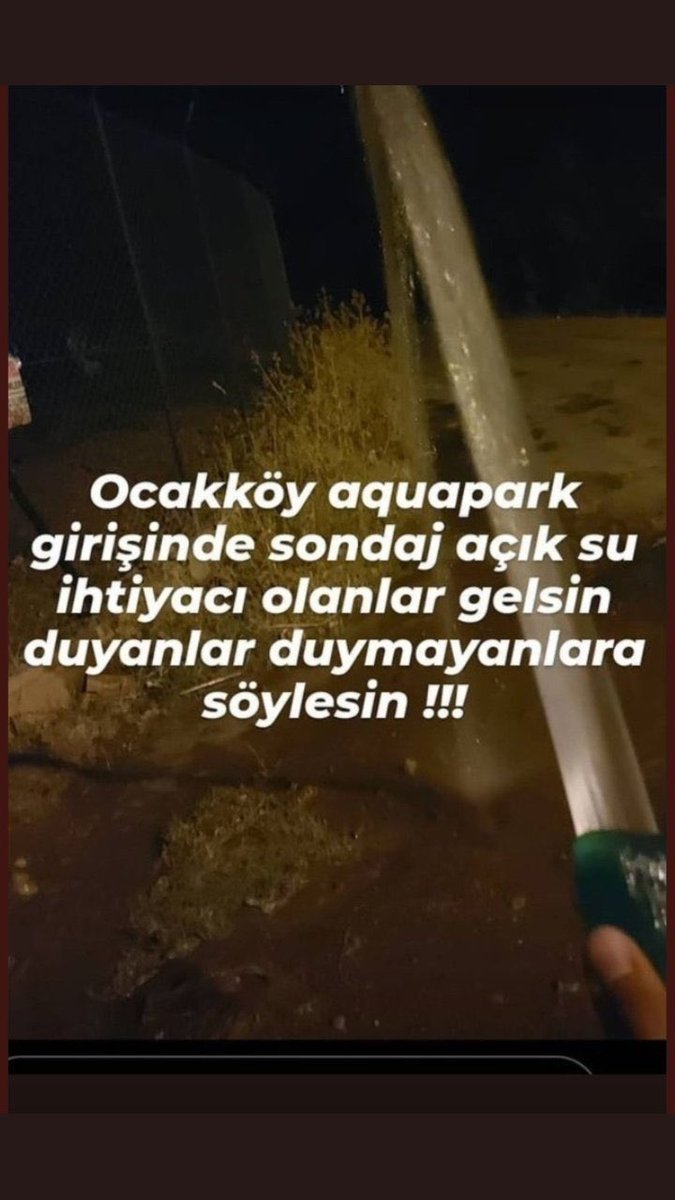 Spor Kanarya ® tweet media