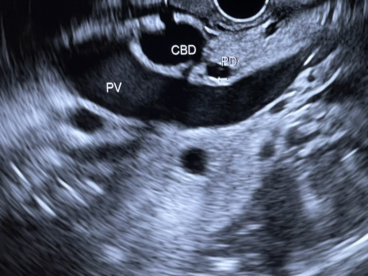 Neil Sharma, M.D. FASGE, FACG, AGAF tweet media