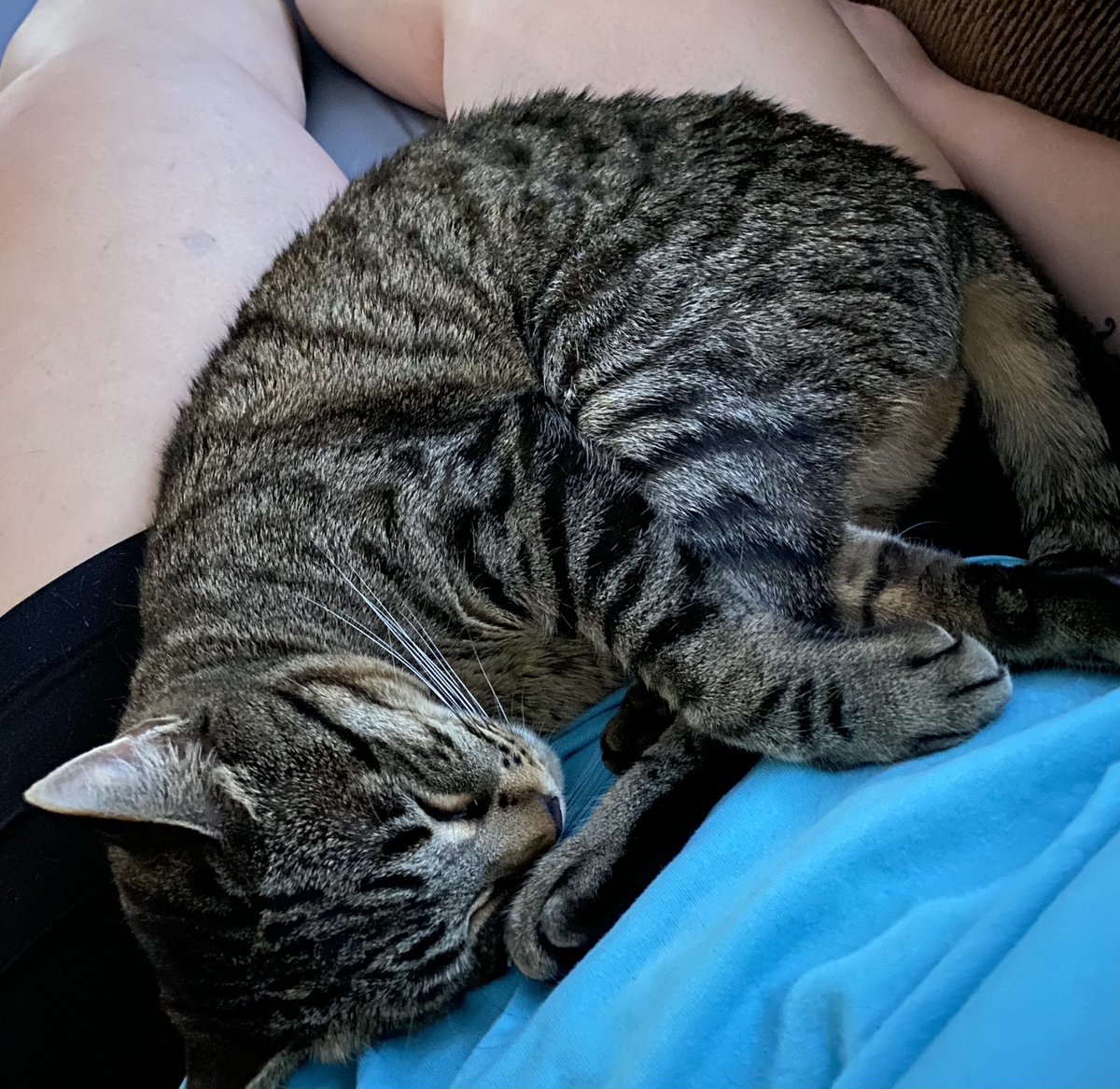 Brenda Brush tweet media