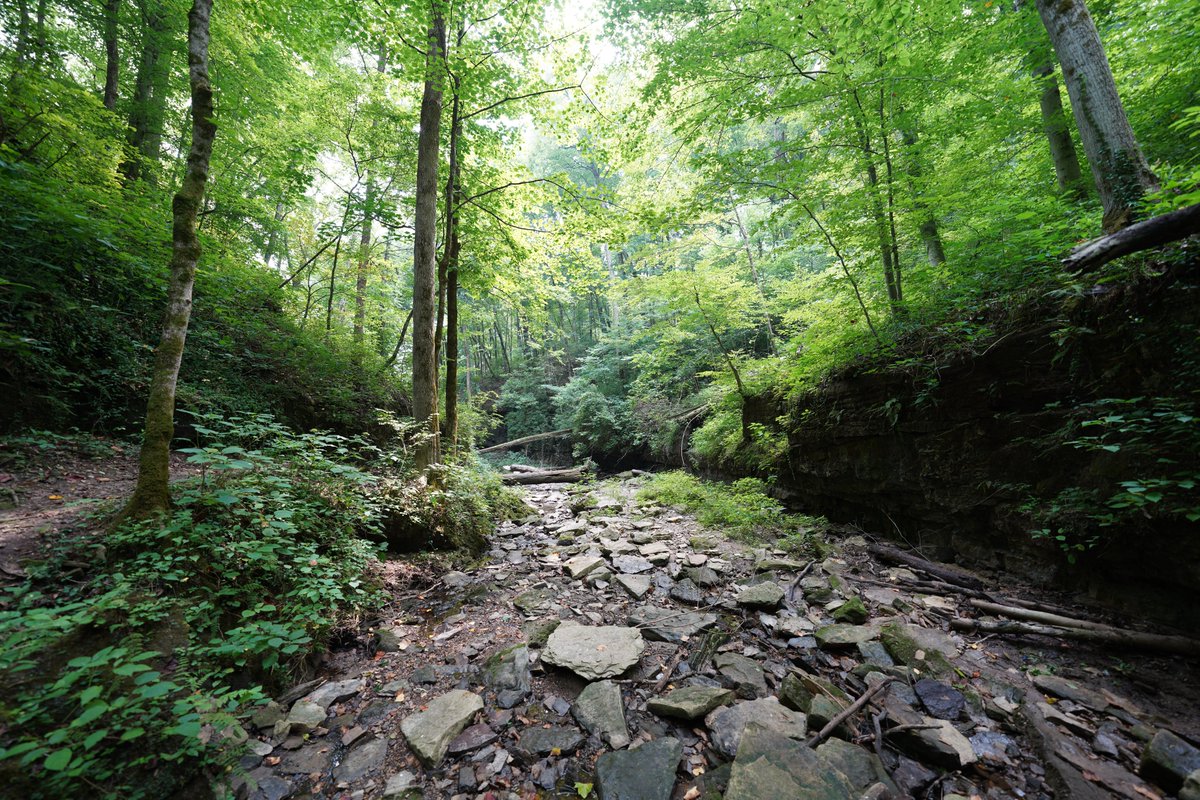 Visual Excursion (@VisualExcursion) | Twitter