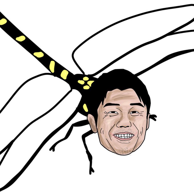 オニヤンマのtwitterイラスト検索結果 オニヤンマのtwitterイラスト検索結果