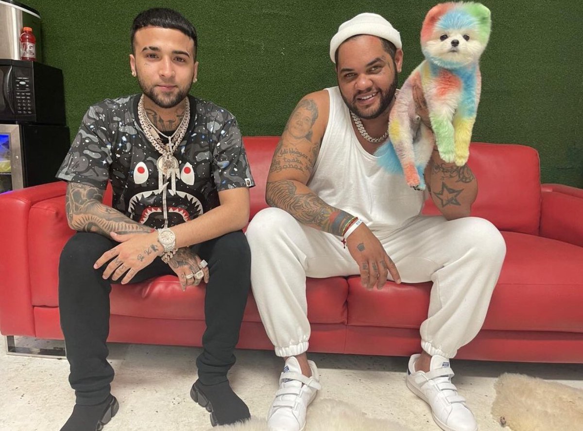 Quieren un tutoria de como ser real 😩