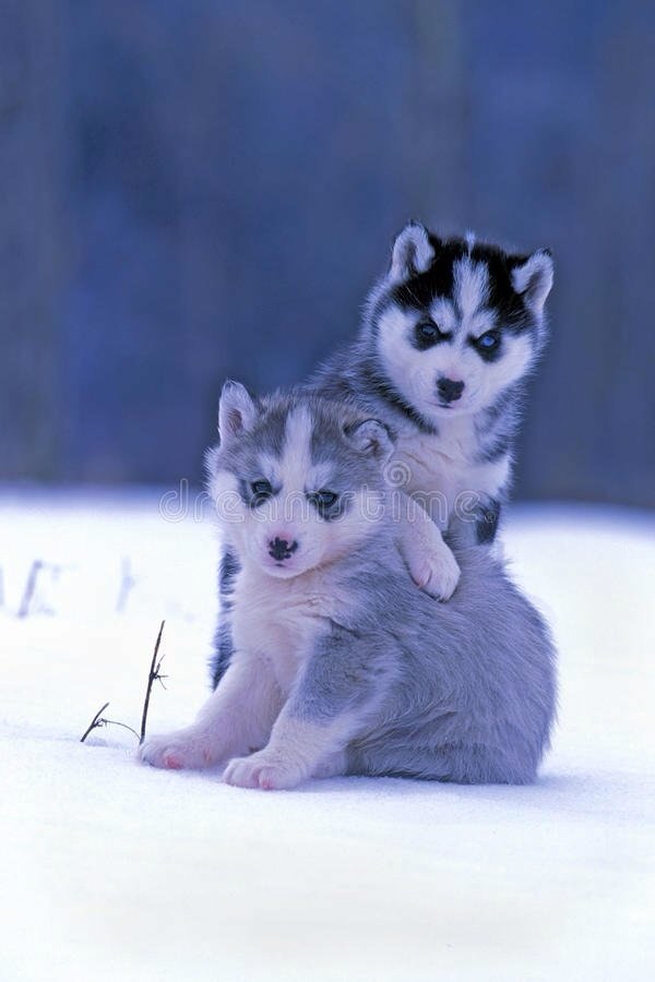 😗😙😚 (@malej1989) on Twitter photo 