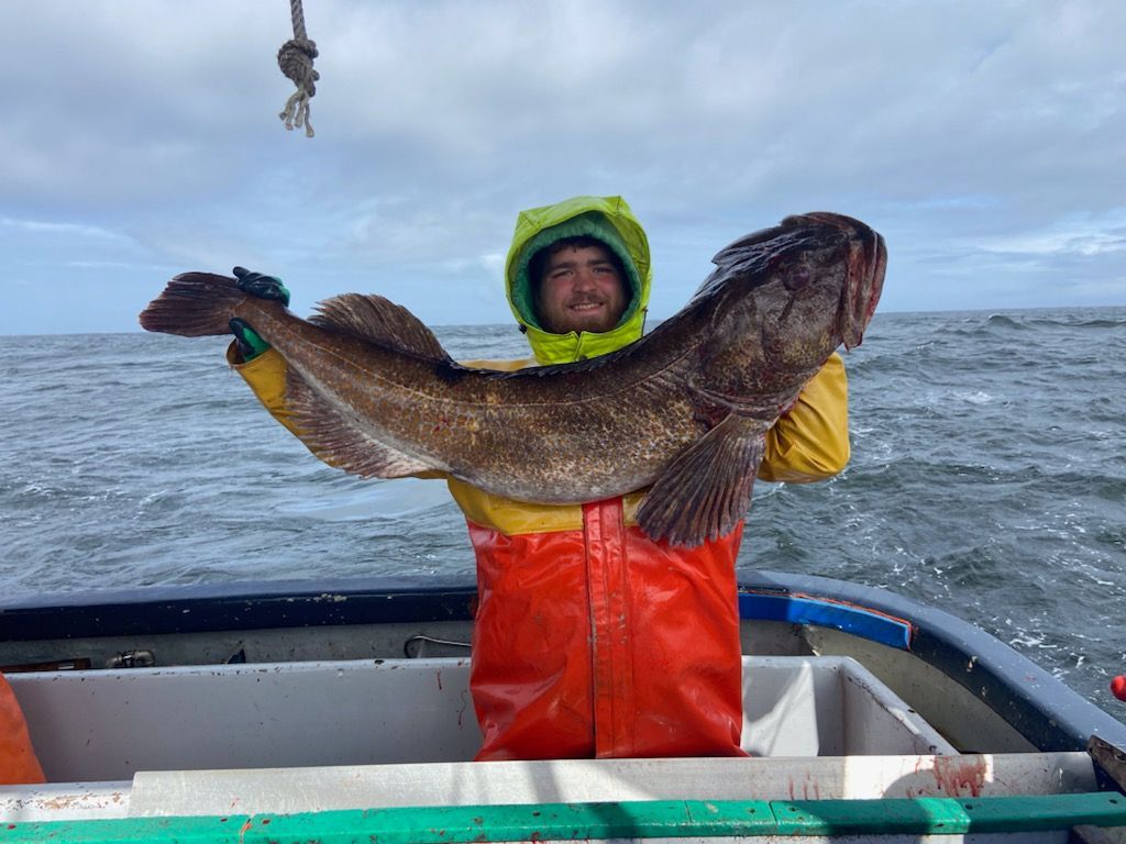 Skipper Otto tweet media