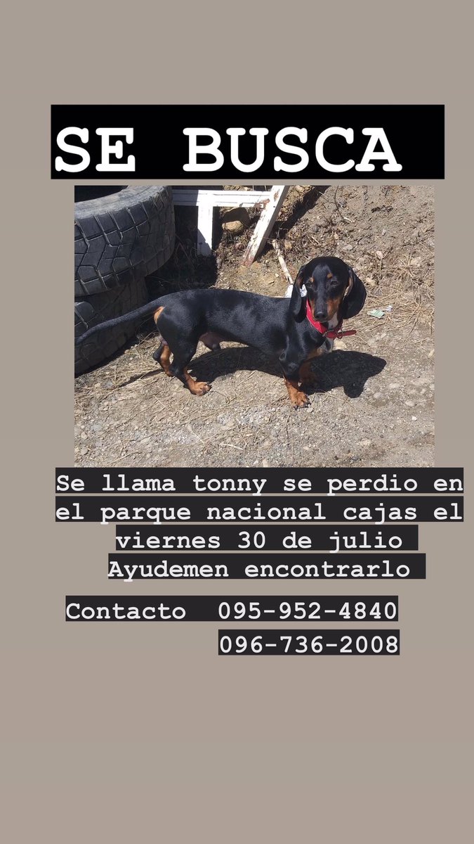 Ayudemen encontrarlo                  #yunda #temblor