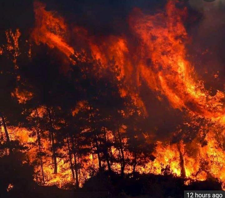 HummaadMir's tweet photo. #PrayForTurkey
#TurkeyIsOnFire https://t.co/NGqHuAwPvY